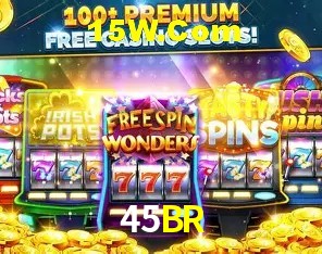 Secure Login 45BR
