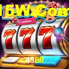45BR App Interface