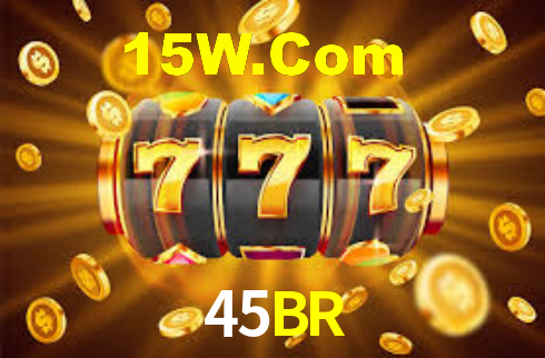 45BR App Interface