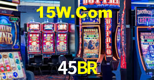 45BR APP